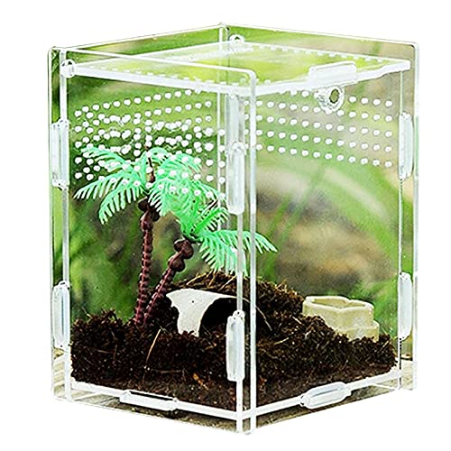 Transparent Acryl Reptilienzuchtbox Zuchtbox Insekten Mini Terrarium Transportbox Transparent Acryl Terrarium Behälter Transparent Reptil Zuchtfall, für Spinnenechsen, Skorpion von ZLIUTIN
