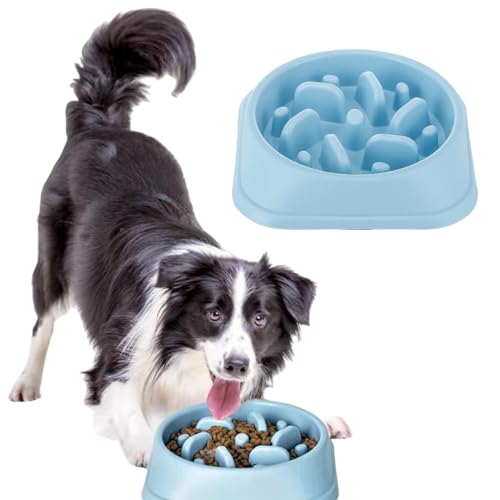 Antischlingnapf Hunde Klein,Anti Schling Napf Hund,Hundenapf Langsame Fütterung,Slow Feeder Dog Bowl,Hundenapf,Fressnapf,Anti Schling Napf Hundenapf Futternapf für Katzen und Kleine Hunde Antischlingnapf Hunde Klein,Anti Schling Napf Hund,Hundenapf Langsame Fütterung,Slow Feeder Dog Bowl,Hundenapf,Fressnapf,Anti Schling Napf Hundenapf Futternapf für Katzen und Kleine Hunde von ZLXFT
