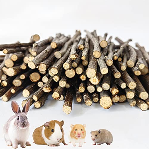 ZLXFT Kaninchen Spielzeug Kauspielzeug,Hamster Spielzeug,Meerschweinchen Spielzeug aus Holz Apfelhölzer für Kaninchen, Hamster, Meerschweinchen, Chinchilla Leckerli von ZLXFT