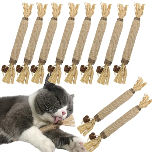 ZLXFT Katzenminze Sticks für Katzen,10 Stück Matatabi Katze Kauspielzeug,Matatabi Stick Katze Sticks, Matatabi-Kausticks als Katzenspielzeug, Kauholz Katze Catnip Sticks ZLXFT Katzenminze Sticks für Katzen,10 Stück Matatabi Katze Kauspielzeug,Matatabi Stick Katze Sticks, Matatabi-Kausticks als Katzenspielzeug, Kauholz Katze Catnip Sticks von ZLXFT