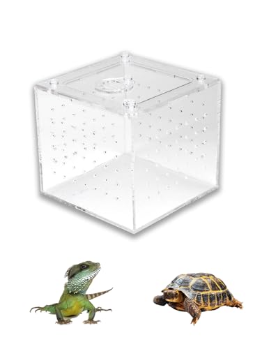 1 Stück Reptilien-Zuchtbox, Reptilien-Terrarium-Futterspender, Schlangen, Spinnen, Eidechsen, Zucht-Acryl-Box, Insektenhaus Für Vogelspinnen, Geckos, Grillen von ZLXHDL