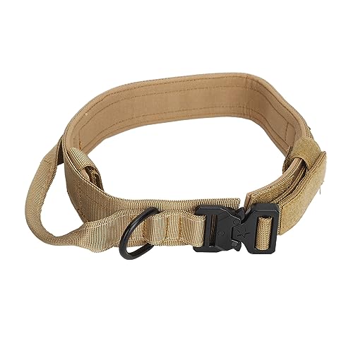 Hundehalskette, robuste einstellbare Halskette mit Hundemetallschleife, Feste Bildungskette für mittelgroße Hunde und groß für Promenade und tägliche Dressur (L) von ZLXHDL