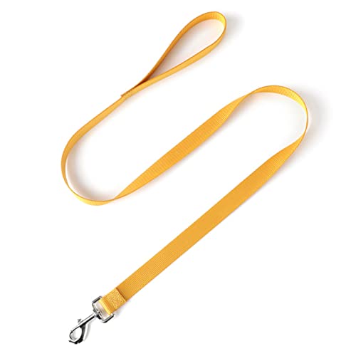 Leine für Hund, Langseil, leichte Halskette Hunde Dressing, tragbare Leine für Hunde medium zum Wandern, Außen Training (Gelb) von ZLXHDL