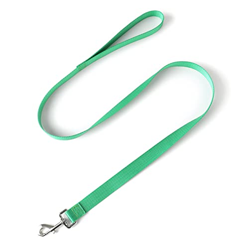 Leine für Hund, Langseil, leichte Halskette Hunde Dressing, tragbare Leine für Hunde medium zum Wandern, Außen Training (Grün) von ZLXHDL
