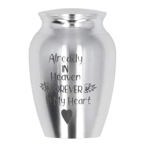 ZLXHDL Edelstahl Haustier Gedenkurne für Tierasche, handgefertigt mit sicherem Verschluss, 45x70mm, für die Aufbewahrung von Haustier Kremationsasche (Silber) von ZLXHDL
