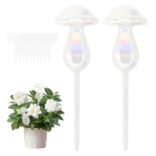 ZMDMAH Bewässerungskugeln 2 Stück Transparent Glas Wasserspender Pflanzen Selbstbewässerung Pflanzenbewässerer für Zimmerpflanzen Garten Balkon ZMDMAH Bewässerungskugeln 2 Stück Transparent Glas Wasserspender Pflanzen Selbstbewässerung Pflanzenbewässerer für Zimmerpflanzen Garten Balkon von ZMDMAH