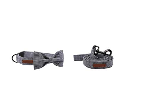 Einzigartiges Pfoten-Hundehalsband mit weichem Bogen für kleine, mittlere, große Hunde oder Katzenhalsband, Bogen und Leine, XXS von ZMKW