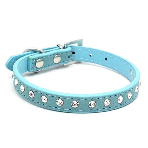 Katzen Halsbänder Kätzchen Halsketten Zubehör für kleine Haustier Hundehalsband Welpenprodukte-Blau, XS von ZMKW