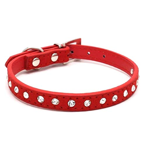 Katzen Halsbänder Kätzchen Halsketten Zubehör für kleine Haustier Hundehalsband Welpenprodukte-Rot, XS von ZMKW