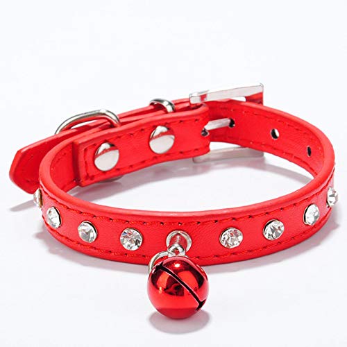 Katzenhalsbänder mit Glocken-Kätzchen-Halskette-Zubehör-Produkten für Haustier-kleine Hundehalsband-Rot, XS von ZMKW