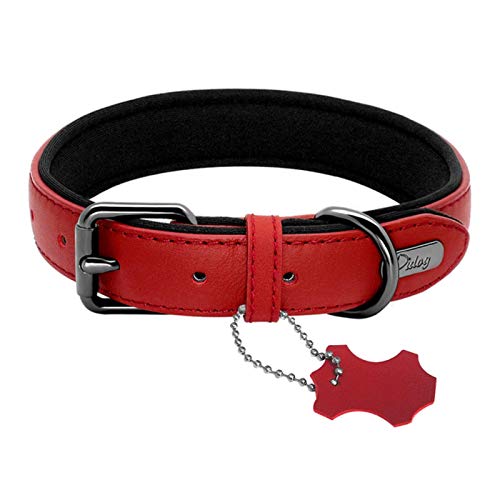 Leder Hund Neopren gepolstert Haustier Halsband Leine Gurt für kleine mittlere Hunde für Bulldogge Bull Terrier Pet Shop von ZMKW