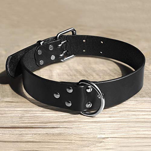Leder Hundehalsband Leder Hundehalsbänder mit DurableD Ring und Goldschnalle für Training Walking von ZMKW