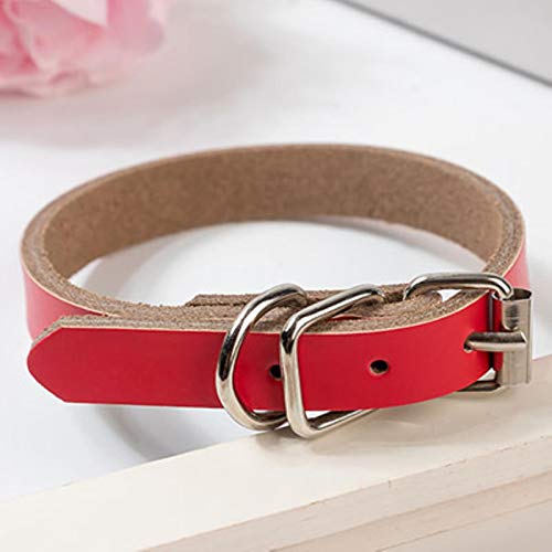 Leder Welpen Hundehalsband Premium Echtes Leder verstellbares Haustier Halsband für kleine Hunde Katzen Schwarz Rot Blau Braue von ZMKW
