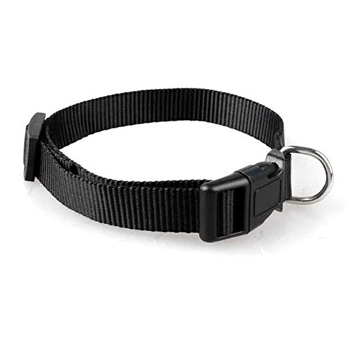 Nylon Hundehalsband Verstellbare Hundehalsbänder für kleine, mittlere und große Rassen Basic Collar-Black, M. von ZMKW