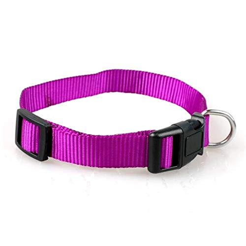 Nylon Hundehalsband Verstellbare Hundehalsbänder für kleine, mittlere und große Rassen Basic Collar-Purple, S. von ZMKW