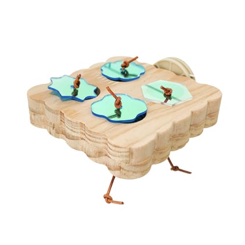 Vogelfutterspender zum Aufhängen, Wasserschale, Lovebirds Futterbecher, Vogelfutterstation für Papageien und Lovebirds Vogelfutterspender zum Aufhängen, Wasserschale, Lovebirds Futterbecher, Vogelfutterstation für Papageien und Lovebirds von ZMYING