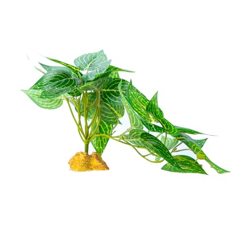 ZMYING Künstliche Reptilienpflanze für Kletterverstecke, Terrarium, Dschungel, künstliches Gras, Amphibien, Lebensraum, Ornamente ZMYING Künstliche Reptilienpflanze für Kletterverstecke, Terrarium, Dschungel, künstliches Gras, Amphibien, Lebensraum, Ornamente von ZMYING