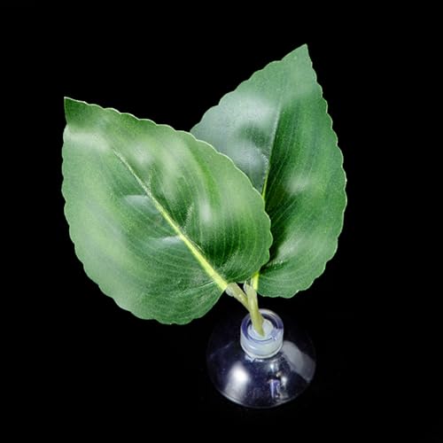 ZMYING Saugnapf, Laubkissen, Ruhebett für Bettas, Fischhängematte, Bett, Aquarien, Laichen, Boden, Laubbett, Aquarien, Zuchtbedarf ZMYING Saugnapf, Laubkissen, Ruhebett für Bettas, Fischhängematte, Bett, Aquarien, Laichen, Boden, Laubbett, Aquarien, Zuchtbedarf von ZMYING