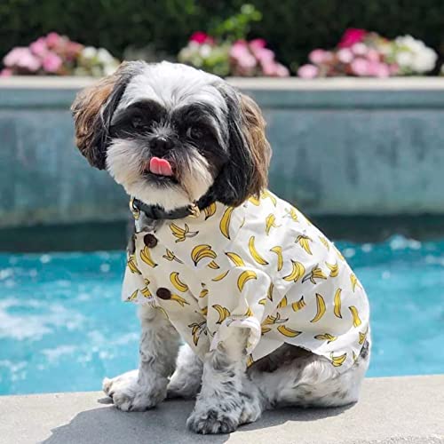 ZNZT Hundekleidung Drucken Bananen-Haustier-Kostüm Für Kleine Hunde Colling Summer Puppy Shirts Für Bulldogge Yorkshire-Baumwoll-Haustierkleidung Halloween von ZNZT