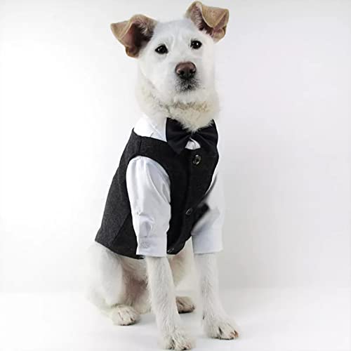 ZNZT Hundekleidung Haustier Hochzeitskleidung Formaler Hundeanzug Hund Samojede Husky Hochzeit Kostüm Kleidung Für Kleine Hunde Haustierkleidung Halloween von ZNZT