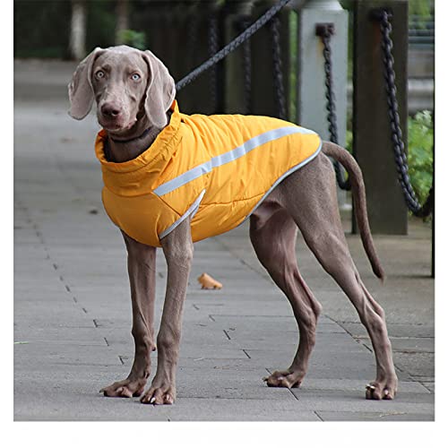 ZNZT Hundekleidung Hundebekleidung Für Große Hunde Winter Warme Jacken Für Große Hunde Gepolsterte Haustiermantel Design Hundebekleidung Halloween von ZNZT