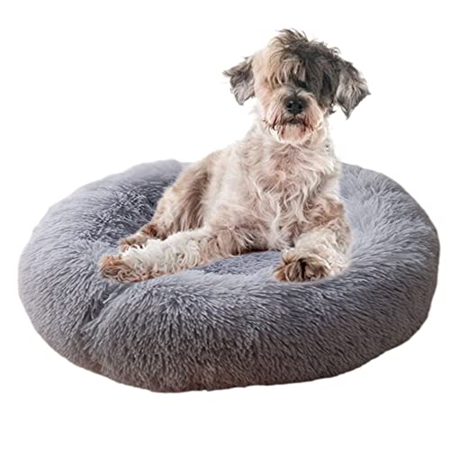 Beruhigendes Haustierbett, gemütliches Donut-Hundebett mit rutschfester Unterseite, maschinenwaschbar, Kuschelhütte, Welpenbett, Anti-Angst, rund, weiches Haustierbett, verbesserter Schlaf, Ø 130 cm, Grau Beruhigendes Haustierbett, gemütliches Donut-Hundebett mit rutschfester Unterseite, maschinenwaschbar, Kuschelhütte, Welpenbett, Anti-Angst, rund, weiches Haustierbett, verbesserter Schlaf, Ø 130 cm, Grau von ZOCIS