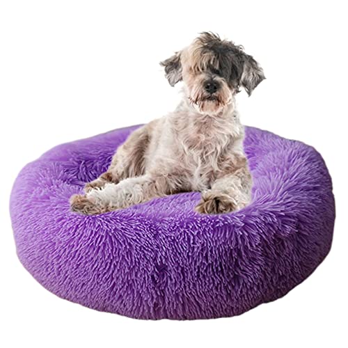 Beruhigendes Haustierbett, gemütliches Donut-Hundebett mit rutschfester Unterseite, maschinenwaschbar, Kuschelhütte, Welpenbett, Anti-Angst, rund, weiches Haustierbett, verbessertes Schlafen, Ø80 cm, Violett von ZOCIS