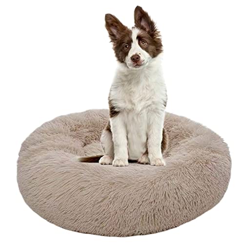 Beruhigendes Hundebett für Welpen, Kätzchen, Donut-Bett – rundes Haustierbett mit rutschfester Unterseite, großes Hundebett, Anti-Angst, verbessertes Schlafen, kuscheliges Plüsch-Hundebett, waschbar, Ø90 cm, Beige von ZOCIS