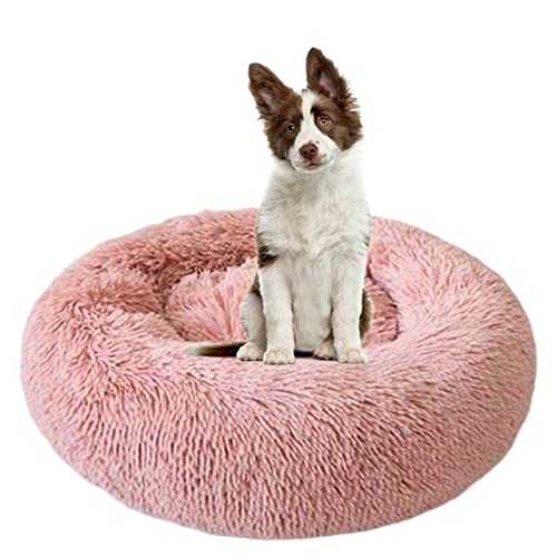 Beruhigendes Hundebett für Welpen, Kätzchen, Donut-Bett – rundes Haustierbett mit rutschfester Unterseite, großes Hundebett, Anti-Angst, verbessertes Schlafen, kuscheliges Plüsch-Hundebett, waschbar, Ø150 cm, Rosa Beruhigendes Hundebett für Welpen, Kätzchen, Donut-Bett – rundes Haustierbett mit rutschfester Unterseite, großes Hundebett, Anti-Angst, verbessertes Schlafen, kuscheliges Plüsch-Hundebett, waschbar, Ø150 cm, Rosa von ZOCIS