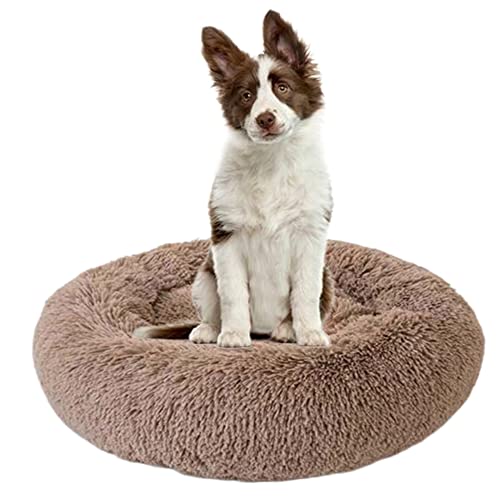 ZOCIS Beruhigendes Hundebett für Welpen, Kätzchen, Donut-Bett, rundes Haustierbett mit rutschfester Unterseite, großes Hundebett, Anti-Angst, verbessertes Schlafen, kuscheliges Plüsch-Hundebett, von ZOCIS