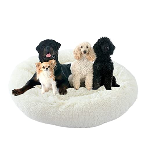 ZOCIS Donut-Haustierbett mit rutschfester Unterseite, flauschiges, gemütliches Plüsch-Hundebett, beruhigendes Hunde-/Welpenbett, kuscheliges rundes Haustierbett, Kissen für mittelgroße und große ZOCIS Donut-Haustierbett mit rutschfester Unterseite, flauschiges, gemütliches Plüsch-Hundebett, beruhigendes Hunde-/Welpenbett, kuscheliges rundes Haustierbett, Kissen für mittelgroße und große von ZOCIS