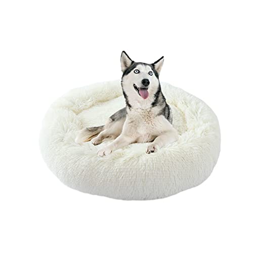 Donut-Haustierbett mit rutschfester Unterseite, waschbar, weich, für Welpen, Kätzchen, Angstlinderung, rundes Haustiernest für Hunde, Katzen – Ø 160 cm, Weiß Donut-Haustierbett mit rutschfester Unterseite, waschbar, weich, für Welpen, Kätzchen, Angstlinderung, rundes Haustiernest für Hunde, Katzen – Ø 160 cm, Weiß von ZOCIS