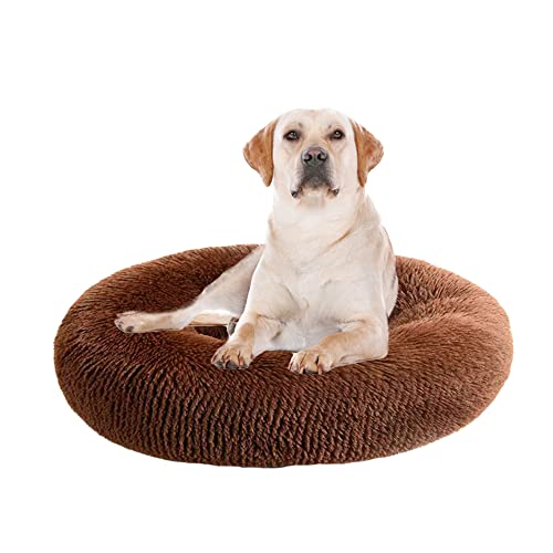 Donut-Hundebett, beruhigend, rund, flauschig, Plüsch, mit rutschfester Unterseite, Anti-Angst und verbessertem Schlaf, kuschelig, wärmendes Welpenbett, Katzenkissen für Innenbereich, M, 90 cm, Kaffee Donut-Hundebett, beruhigend, rund, flauschig, Plüsch, mit rutschfester Unterseite, Anti-Angst und verbessertem Schlaf, kuschelig, wärmendes Welpenbett, Katzenkissen für Innenbereich, M, 90 cm, Kaffee von ZOCIS