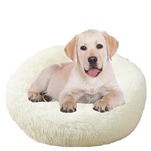 ZOCIS Donut-Hundebett, selbstwärmend, rund, mit rutschfester Unterseite, waschbar, Welpenbetten, Anti-Angstzustände, kuscheliges Hunde- und Katzenbett, verbessert den Schlaf, Haustierbett für große ZOCIS Donut-Hundebett, selbstwärmend, rund, mit rutschfester Unterseite, waschbar, Welpenbetten, Anti-Angstzustände, kuscheliges Hunde- und Katzenbett, verbessert den Schlaf, Haustierbett für große von ZOCIS