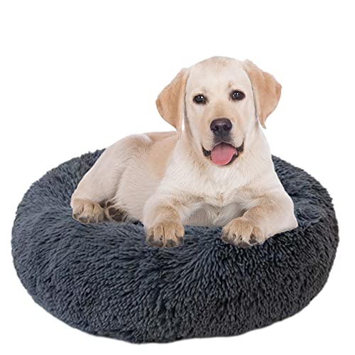 Donut Hundebett, selbstwärmend, rundes Haustierkissen mit rutschfester Unterseite, waschbar, Welpenbetten, AntiAngst, Kuschelbett, Hunde und Katzenbett, verbessert den Schlaf, Haustierbett für Donut Hundebett, selbstwärmend, rundes Haustierkissen mit rutschfester Unterseite, waschbar, Welpenbetten, AntiAngst, Kuschelbett, Hunde und Katzenbett, verbessert den Schlaf, Haustierbett für von ZOCIS