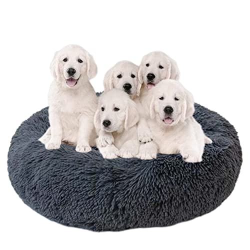 Extra großes Hundebett, bequem, Angstlinderung, Haustierbett, rundes Hundebett, Plüschbett mit rutschfester Unterseite, waschbar, Welpenkissen zur Verbesserung des Schlafens von Haustieren (Ø 130 cm, dunkelgrau) Extra großes Hundebett, bequem, Angstlinderung, Haustierbett, rundes Hundebett, Plüschbett mit rutschfester Unterseite, waschbar, Welpenkissen zur Verbesserung des Schlafens von Haustieren (Ø 130 cm, dunkelgrau) von ZOCIS