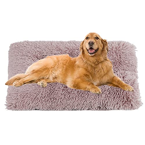 ZOCIS Flauschige Hundebox-Matratze, waschbar, Anti-Angst-Hundebett-Matte, große Plüsch-Hundematte mit rutschfester Unterseite, abnehmbarer Bezug, Haustierkissen-Matten, 50 x 35 x 6 cm, Beigebraun ZOCIS Flauschige Hundebox-Matratze, waschbar, Anti-Angst-Hundebett-Matte, große Plüsch-Hundematte mit rutschfester Unterseite, abnehmbarer Bezug, Haustierkissen-Matten, 50 x 35 x 6 cm, Beigebraun von ZOCIS