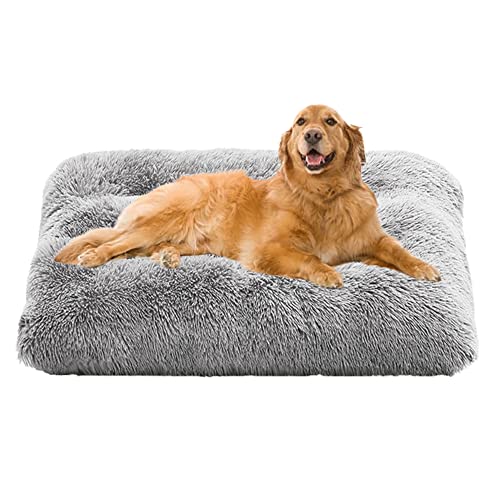 Große Hundebett-Kistenmatratze, waschbar, Hundekissen mit rutschfester Unterseite, Hundehütte, Plüsch, beruhigend, flauschig, Hundebetten, Anti-Angst, Haustierbett, Hundematte, 122 x 85 x 12 cm, Grau Große Hundebett-Kistenmatratze, waschbar, Hundekissen mit rutschfester Unterseite, Hundehütte, Plüsch, beruhigend, flauschig, Hundebetten, Anti-Angst, Haustierbett, Hundematte, 122 x 85 x 12 cm, Grau von ZOCIS