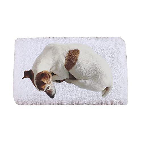 Große Hundebett-Matratze, Plüsch-Haustierbett-Matte mit rutschfester Unterseite, beruhigendes Hundebettkissen, waschbar, abnehmbarer Bezug, XL-120 x 90 x 12 cm, Weiß von ZOCIS