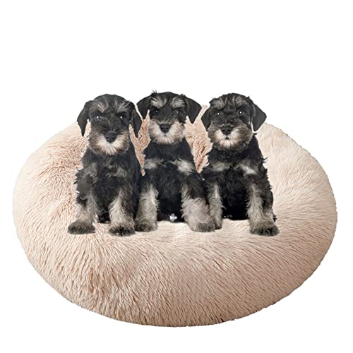 Großes, beruhigendes Hundebett, waschbar, rutschfeste Unterseite, Donut-Haustierbetten, Anti-Angst, warmes Welpen-Kuschelbett, rundes Hundebett, Kissen für verbesserten Schlaf, Ø 110 cm, Beige von ZOCIS