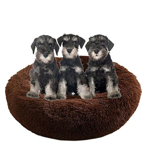 Großes, beruhigendes Hundebett, waschbar, rutschfeste Unterseite, Donut-Haustierbetten, Anti-Angst, warmes Welpen-Kuschelbett, rundes Hundebett, Kissen für verbesserten Schlaf, Ø 130 cm, Kaffee Großes, beruhigendes Hundebett, waschbar, rutschfeste Unterseite, Donut-Haustierbetten, Anti-Angst, warmes Welpen-Kuschelbett, rundes Hundebett, Kissen für verbesserten Schlaf, Ø 130 cm, Kaffee von ZOCIS