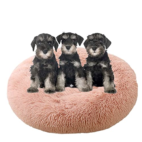 Großes, beruhigendes Hundebett, waschbar, rutschfeste Unterseite, Donut-Haustierbetten, Anti-Angst, warmes Welpen-Kuschelbett, rundes Hundebett, Kissen für verbesserten Schlaf, Ø90 cm, Rosa 2 Großes, beruhigendes Hundebett, waschbar, rutschfeste Unterseite, Donut-Haustierbetten, Anti-Angst, warmes Welpen-Kuschelbett, rundes Hundebett, Kissen für verbesserten Schlaf, Ø90 cm, Rosa 2 von ZOCIS