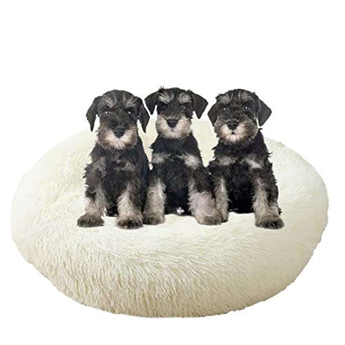 Großes beruhigendes Hundebett, waschbar, rutschfeste Unterseite, Donut-Haustierbetten, Anti-Angst, warmes Welpen-Kuschelbett, rundes Hundebett, Kissen für verbesserten Schlaf, Ø 160 cm, Weiß Großes beruhigendes Hundebett, waschbar, rutschfeste Unterseite, Donut-Haustierbetten, Anti-Angst, warmes Welpen-Kuschelbett, rundes Hundebett, Kissen für verbesserten Schlaf, Ø 160 cm, Weiß von ZOCIS
