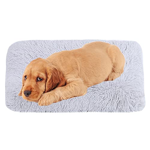 Hundematte Pad Waschbar Gemütliche Plüsch Hundebox Bett Matte mit rutschfester Unterseite Hundebett Matratze Anti-Angst Hundekissen Matten Abnehmbarer Bezug Haustierbett Pad, 100 cm x 70 cm x 10 cm, Grau von ZOCIS