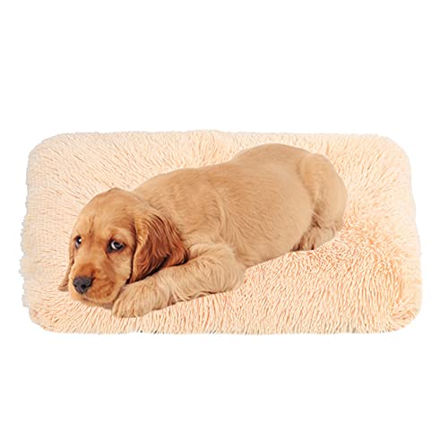 Hundematte Pad Waschbar Gemütliche Plüsch Hundebox Bett Matte mit rutschfester Unterseite Hundebett Matratze Anti-Angst Hundekissen Matten Abnehmbarer Bezug Haustierbett Pad,70 cm x 50 cm x 8 von ZOCIS