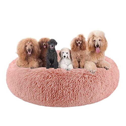 Kuddler Hundebett, flauschig, Plüsch, Haustierbett, runde Hundebetten, rutschfeste Unterseite, Welpen-Sofa, Bett, mittelgroß, Haustierkissen, Anti-Angst-Hundebett, waschbar, Ø 160 cm, Rosa 2 Kuddler Hundebett, flauschig, Plüsch, Haustierbett, runde Hundebetten, rutschfeste Unterseite, Welpen-Sofa, Bett, mittelgroß, Haustierkissen, Anti-Angst-Hundebett, waschbar, Ø 160 cm, Rosa 2 von ZOCIS