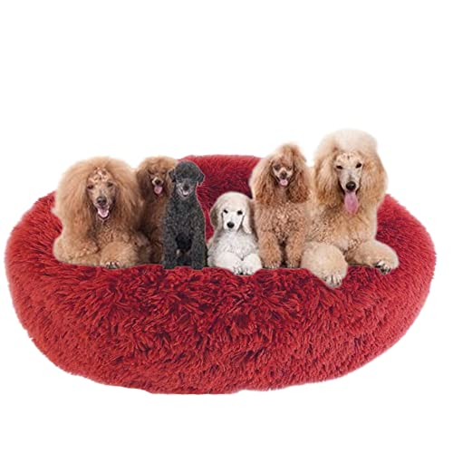 Kuddler Hundebett, flauschiges Plüsch-Haustierbett, runde Hundebetten, rutschfeste Unterseite, Welpen-Sofa, Bett, mittelgroß, Haustierkissen, Anti-Angst-Hundebett, waschbar, Ø 30 cm, weinrot Kuddler Hundebett, flauschiges Plüsch-Haustierbett, runde Hundebetten, rutschfeste Unterseite, Welpen-Sofa, Bett, mittelgroß, Haustierkissen, Anti-Angst-Hundebett, waschbar, Ø 30 cm, weinrot von ZOCIS