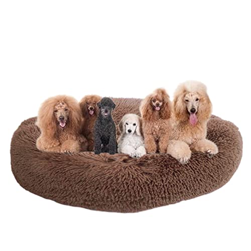 Kuscheliges Hundebett, flauschiges Plüsch-Haustierbett, runde Hundebetten, rutschfeste Unterseite, Welpen-Sofa, Bett, mittelgroß, Haustierkissen, Anti-Angst-Hundebett, waschbar, Ø 130 cm, Kaffee Kuscheliges Hundebett, flauschiges Plüsch-Haustierbett, runde Hundebetten, rutschfeste Unterseite, Welpen-Sofa, Bett, mittelgroß, Haustierkissen, Anti-Angst-Hundebett, waschbar, Ø 130 cm, Kaffee von ZOCIS