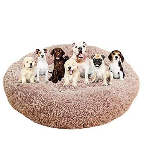 Langes Plüsch-Donut-Hundebett für große Hunde, bequemes, flauschiges Haustierbett, Kissenmatte mit rutschfester Unterseite, beruhigendes Hundebett, waschbar, Anti-Angst-Welpenbett, Ø150 cm, Beige / Braun von ZOCIS