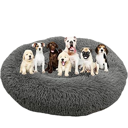 Langes Plüsch-Donut-Hundebett für große Hunde, bequemes, flauschiges Haustierbett, Kissenmatte mit rutschfester Unterseite, beruhigendes Hundebett, waschbar, Anti-Angst-Welpenbett, Ø160 cm, Dunkelgrau Langes Plüsch-Donut-Hundebett für große Hunde, bequemes, flauschiges Haustierbett, Kissenmatte mit rutschfester Unterseite, beruhigendes Hundebett, waschbar, Anti-Angst-Welpenbett, Ø160 cm, Dunkelgrau von ZOCIS
